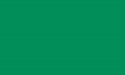 Цвет, в котором может быть произведено изделие (Уголок E5x17) зеленый  145