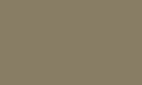 Цвет, в котором может быть произведено изделие (Отбойная доска TS 160) бледно-коричневый  RAL 8025