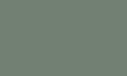 Цвет, в котором может быть произведено изделие (Накладка на ступени AK 50) серо-зеленый  RAL 7009