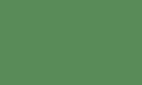Цвет, в котором может быть произведено изделие (Накладка на ступени AK 46) бледно-зеленый  RAL 6032