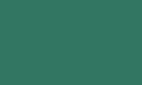 Цвет, в котором может быть произведено изделие (RAL 6000-6036) патиново-зеленый  RAL 6000