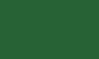 Цвет, в котором может быть произведено изделие (RAL 6000-6036) лиственно-зеленый  RAL 6002