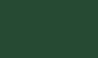 Цвет, в котором может быть произведено изделие (Плинтус для ковролина KP 50) сосновый зеленый  RAL 6028