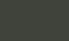 Цвет, в котором может быть произведено изделие (RAL 6000-6036) серо-оливковый  RAL 6006