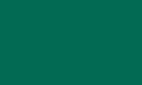 Цвет, в котором может быть произведено изделие (RAL 6000-6036) бирюзово-зеленый  RAL 6016
