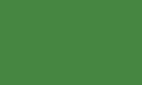 Цвет, в котором может быть произведено изделие (Отбойная доска TS 160) майский зеленый  RAL 6017