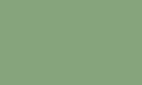 Цвет, в котором может быть произведено изделие (RAL 6000-6036) бледно-зеленый  RAL 6021