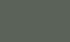 Цвет, в котором может быть произведено изделие (Поручень на перила ПЛ 50x6*) серо-зеленый  RAL 7009